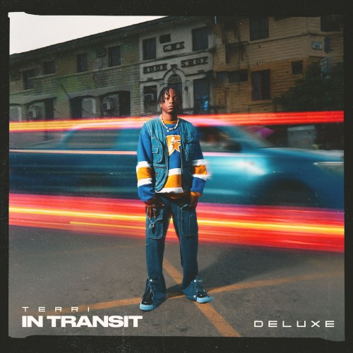 Terri-In-Transit-deluxe-cover